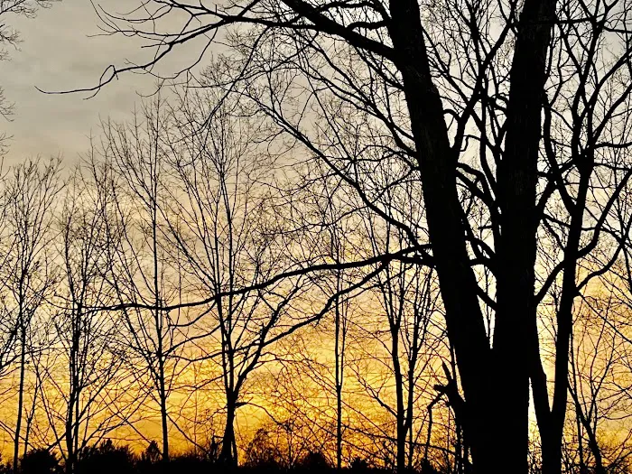 Camp Scuffy Picture 6