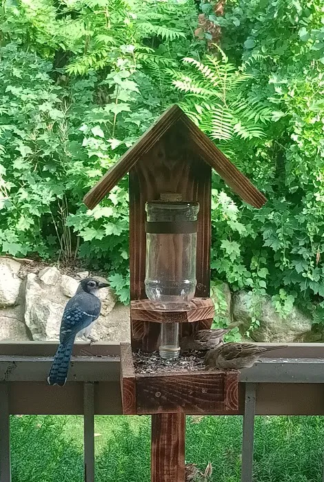 Stephens State Park Campground Picture 4