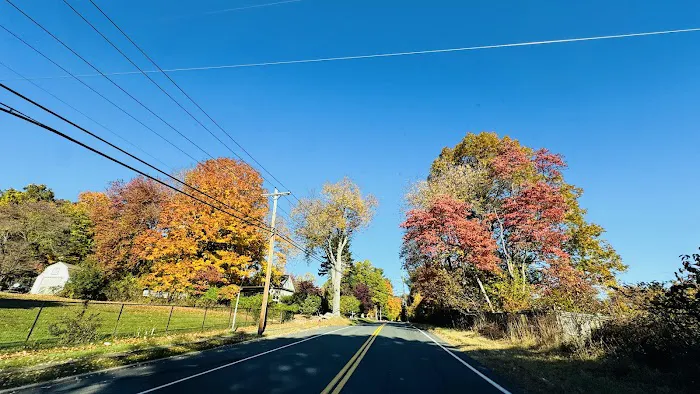 Camp Scuffy Picture 7