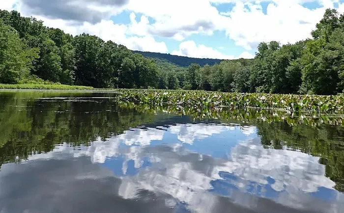 Stephens State Park Campground Picture 5