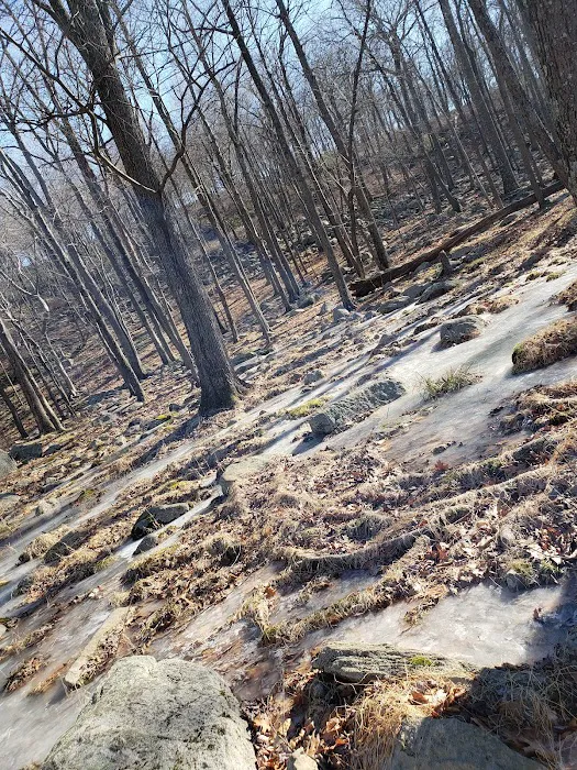 Dutch Doctor Shelter Picture 7