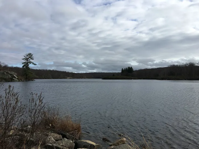 Dutch Doctor Shelter Picture 2