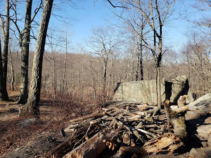 Dutch Doctor Shelter Picture 6