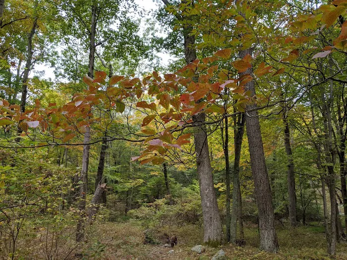 Dutch Doctor Shelter Picture 9