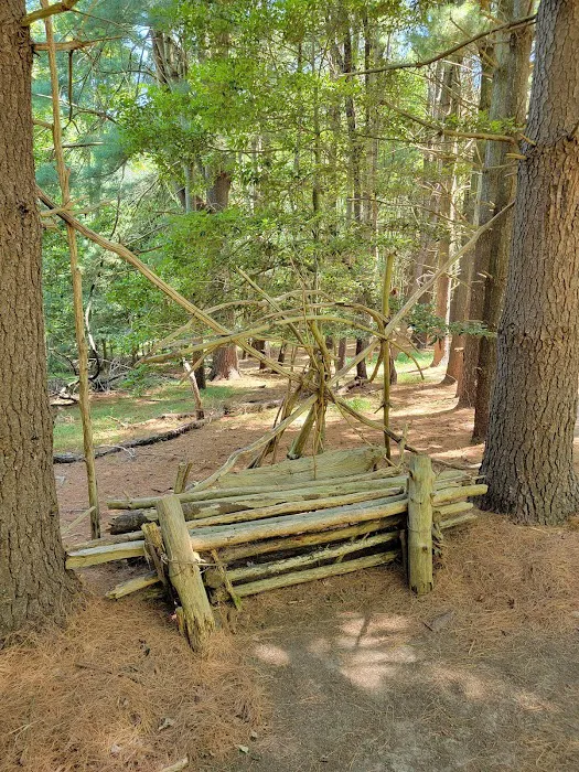 Allaire State Park Group Campsite Picture 1