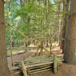 Allaire State Park Group Campsite