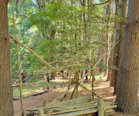 Allaire State Park Group Campsite