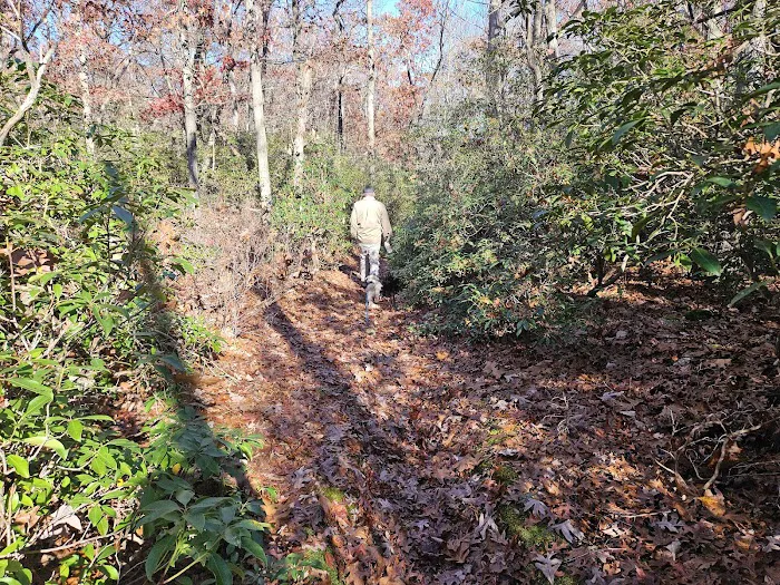Allaire State Park Group Campsite Picture 10