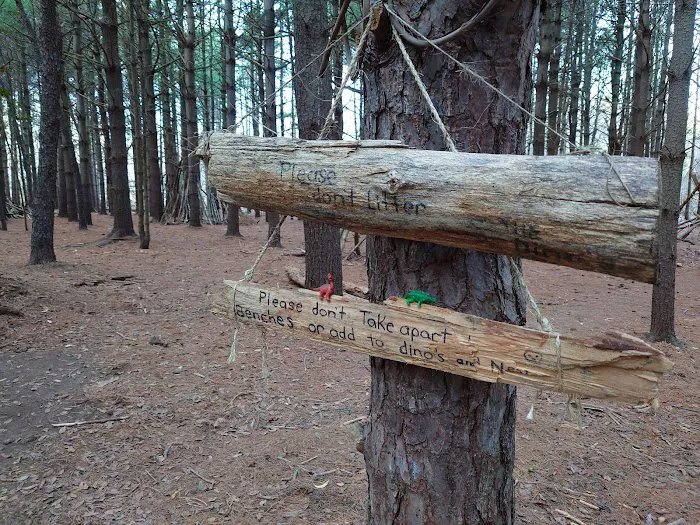 Allaire State Park Group Campsite Picture 9