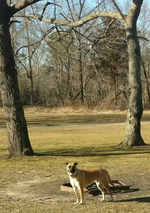 Allaire State Park Group Campsite Picture 7