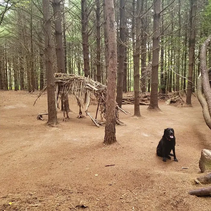 Allaire State Park Group Campsite Picture 6
