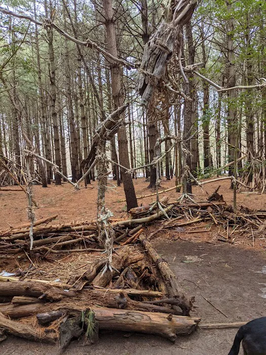 Allaire State Park Group Campsite Picture 5