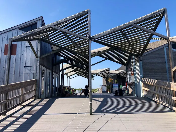 Watch Hill Fire Island Campground & Safari Tent Glamping Picture 7