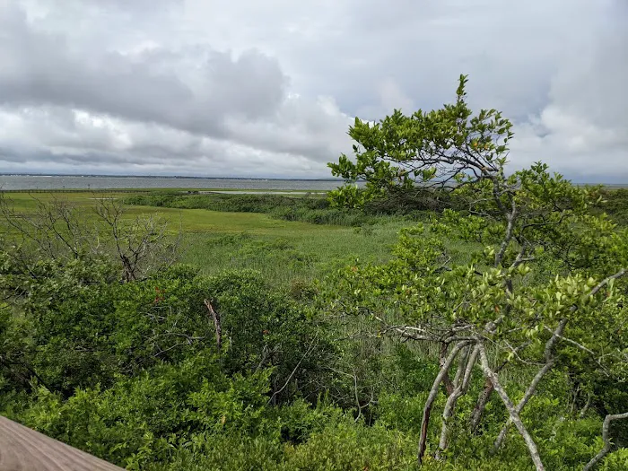 Watch Hill Fire Island Campground & Safari Tent Glamping Picture 6