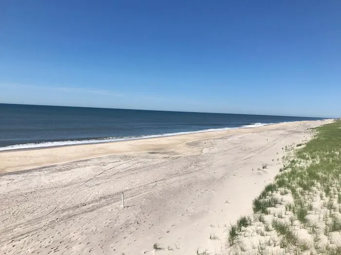 Fire Island Picture 2