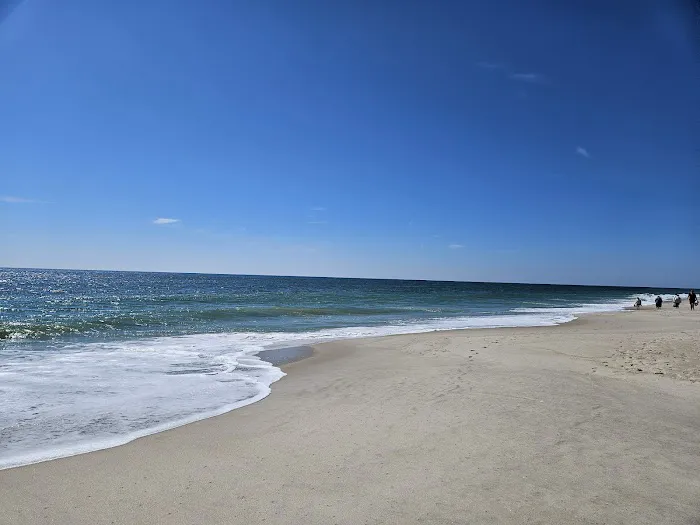 Smith Point County Park Campground Picture 1