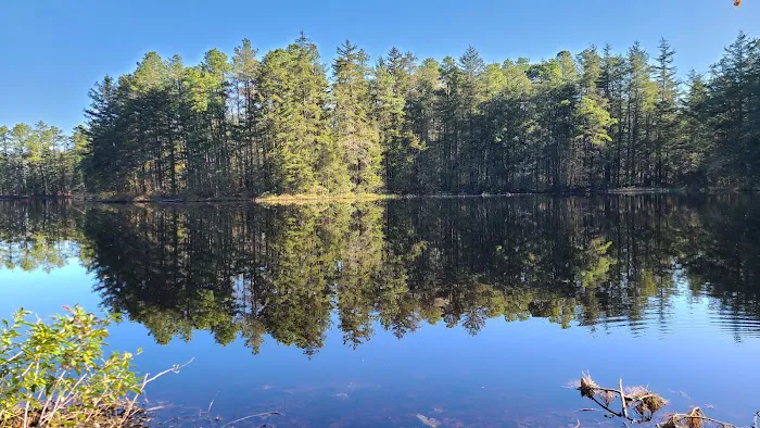 Brendan T Byrne State Forest Cabin 2 Picture 2