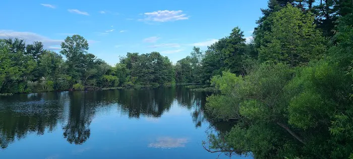 Willow Pond RV Campground Picture 5