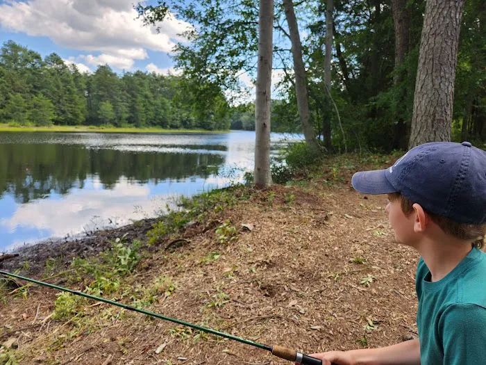 Brendan T Byrne State Forest Cabin 2 Picture 4