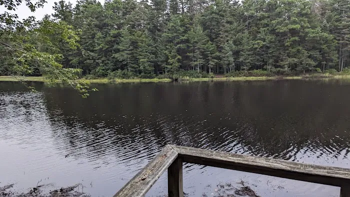 Brendan T Byrne State Forest Cabin 2 Picture 1