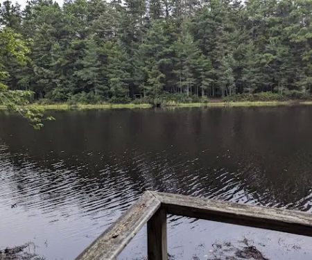 Brendan T Byrne State Forest Cabin 2