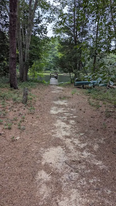Brendan T Byrne State Forest Cabin 2 Picture 3
