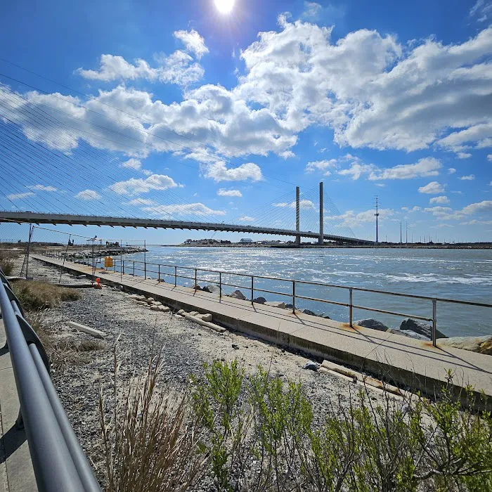 Delaware Seashore State Park North Campground Picture 2