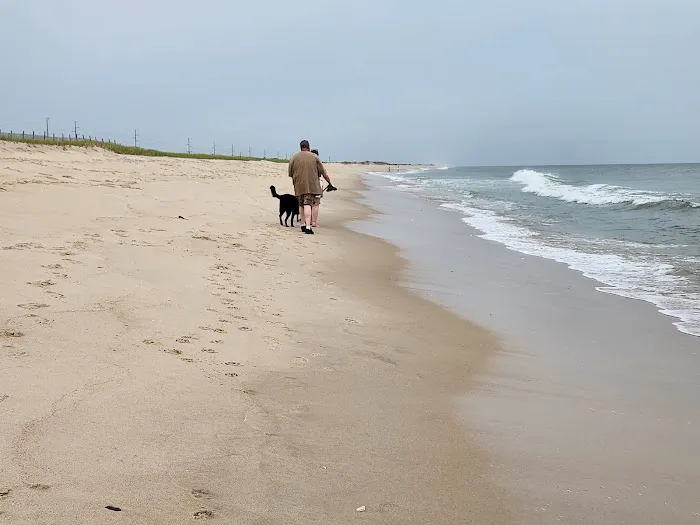 Delaware Seashore State Park North Campground Picture 10