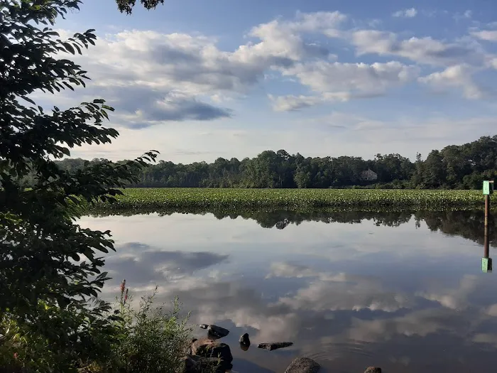 Loop A Campground Picture 1