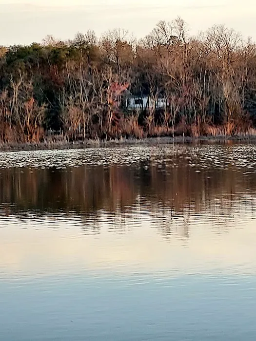 Loop A Campground Picture 3