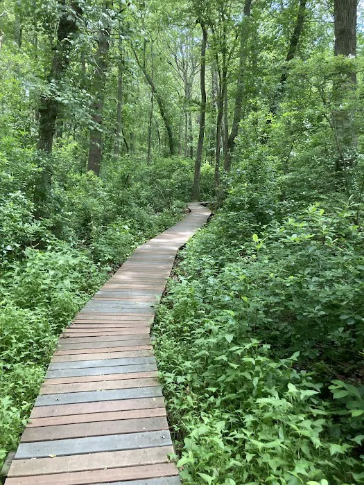 Campsite Weemat Picture 2