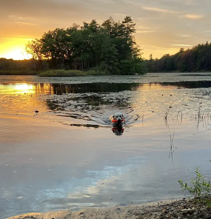 Tuxbury Pond Campground Picture 9