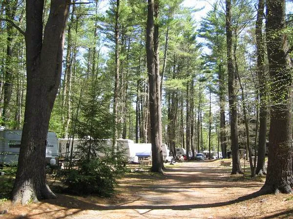 Tuxbury Pond Campground Picture 8