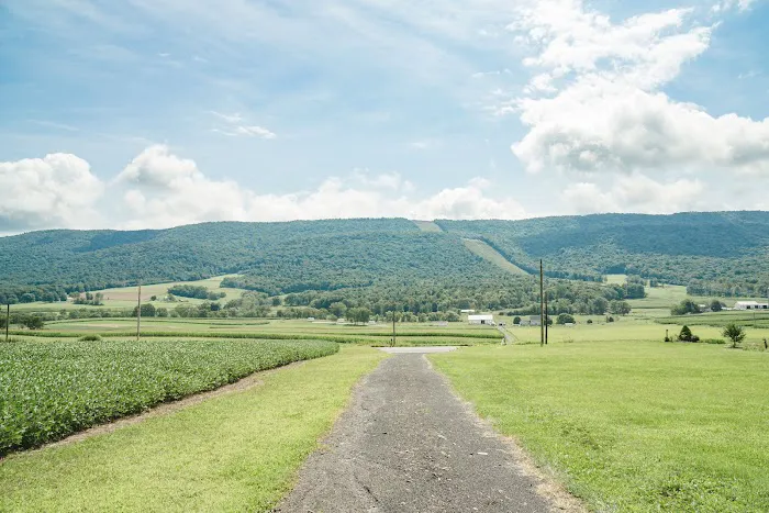 Airydale Retreat Picture 9