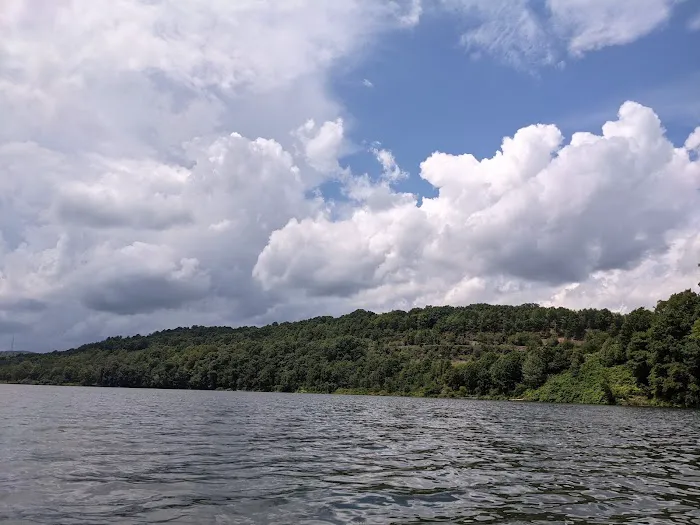 Curwensville Lake Recreation Picture 2