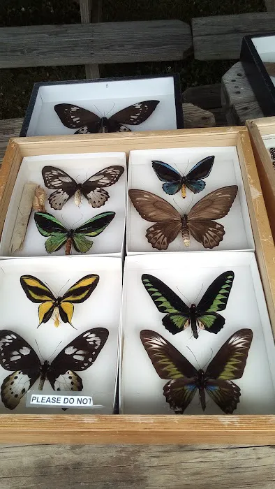 Curwensville Lake Recreation Picture 7