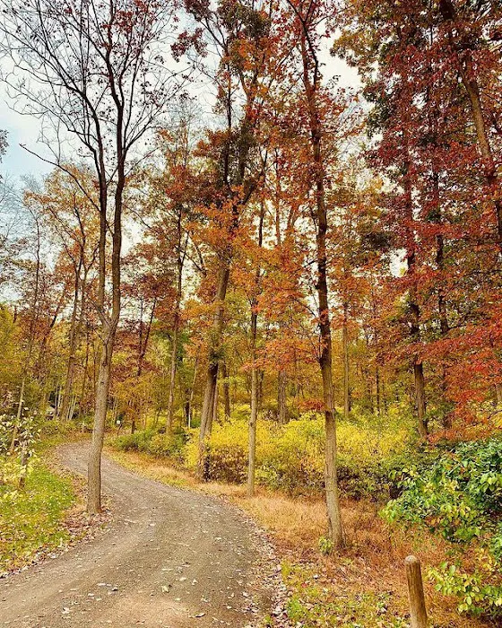 Airydale Retreat Picture 5