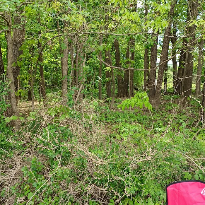 Curwensville Lake Recreation Picture 5