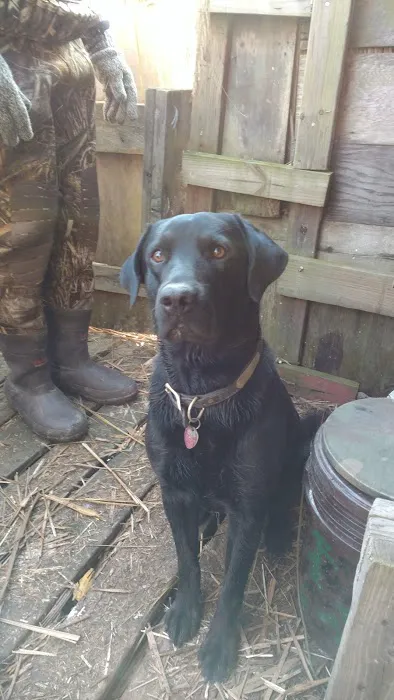 Milltown Landing Campsite Picture 2