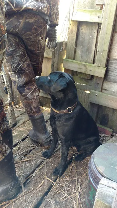 Milltown Landing Campsite Picture 1