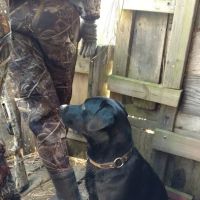 Milltown Landing Campsite ico