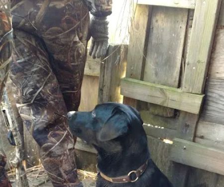 Milltown Landing Campsite