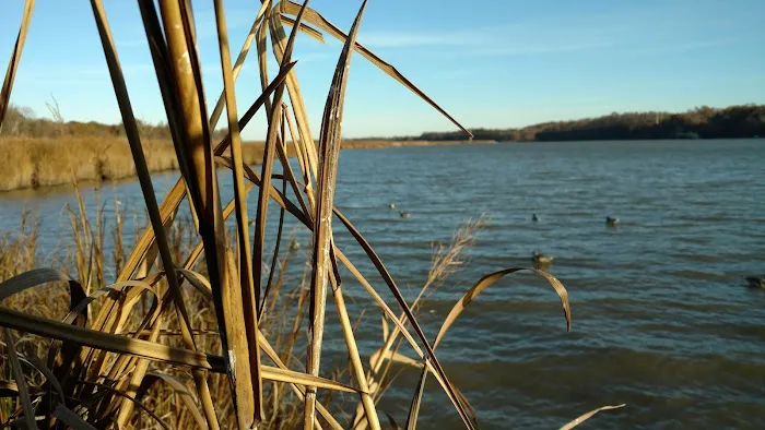 Milltown Landing Campsite Picture 4