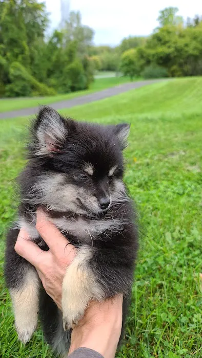 Greece Canal Park Youth Camping Picture 1