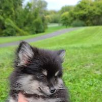 Greece Canal Park Youth Camping ico