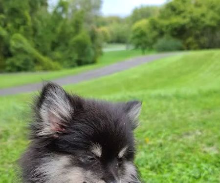 Greece Canal Park Youth Camping