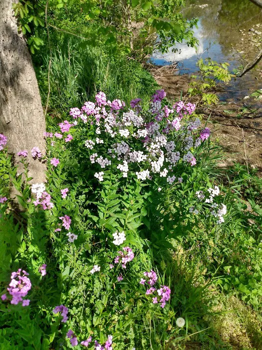 Marsh Creek of Gettysburg Campground Picture 7