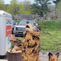 Ridgway Chainsaw Carving Rndzv ico