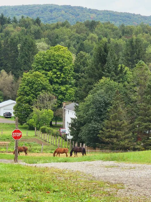 Cherry Creek Campground and Recreation Picture 2