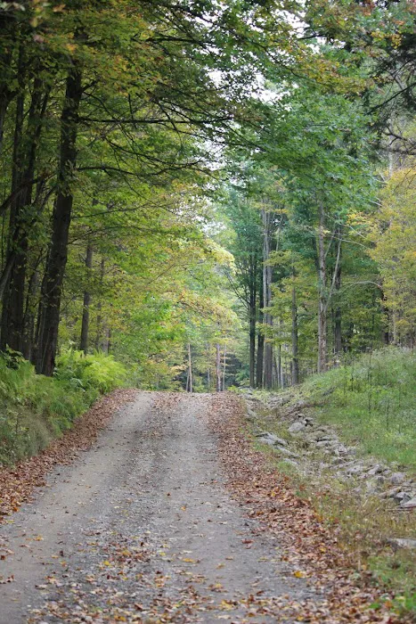 Cherry Creek Campground and Recreation Picture 7